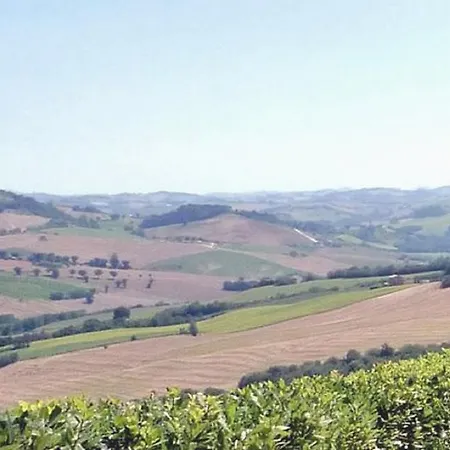 In Collina Loro Piceno
