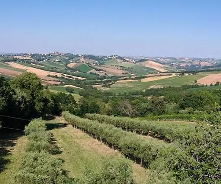 In Collina * Loro Piceno